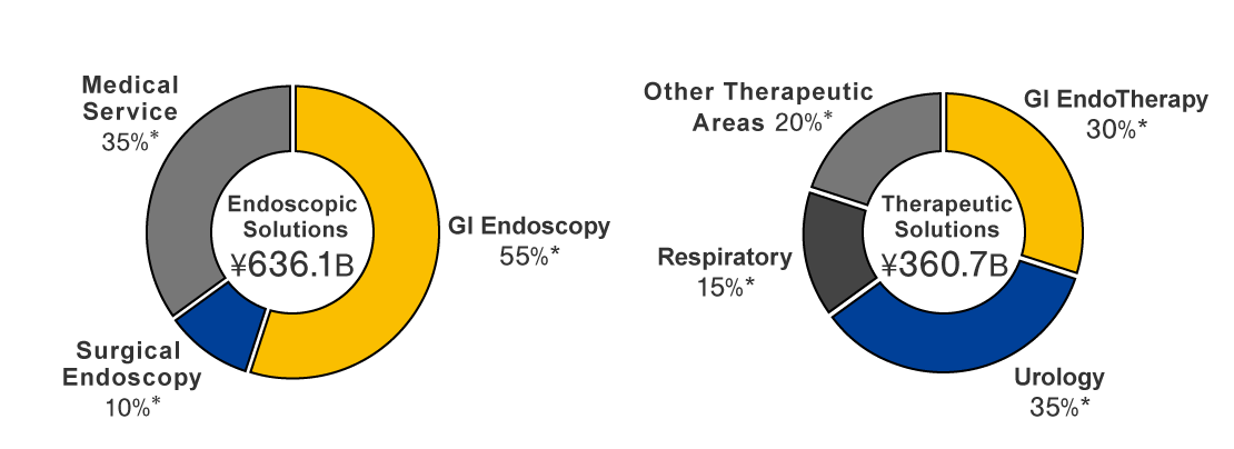 Endoscopic Solutions ¥360.7B:GI Endoscopy55%* Surgical Endoscopy10%* Medical Service35%*, Therapeutic Solutions ¥360.7B: GI EndoTherapy30%* Urology35%* Respiratory15%* Other Therapeutic Areas20%*