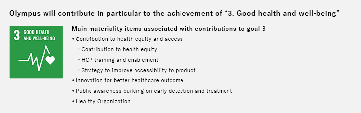Main materiality items associated with contributions to goal 3